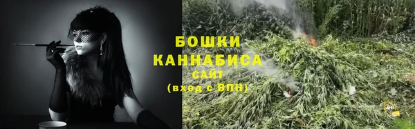 индика Протвино