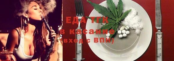 индика Протвино