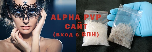 индика Протвино