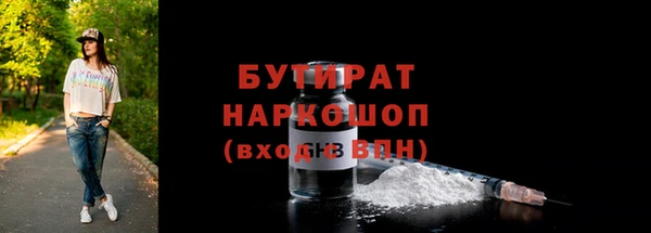 индика Протвино