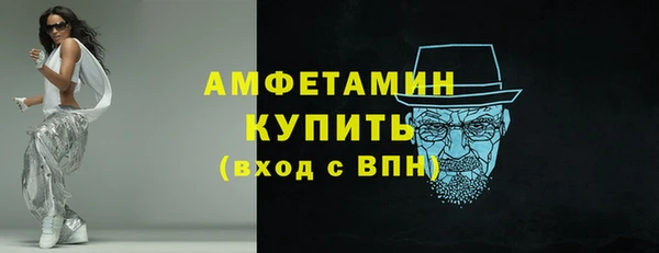 индика Протвино