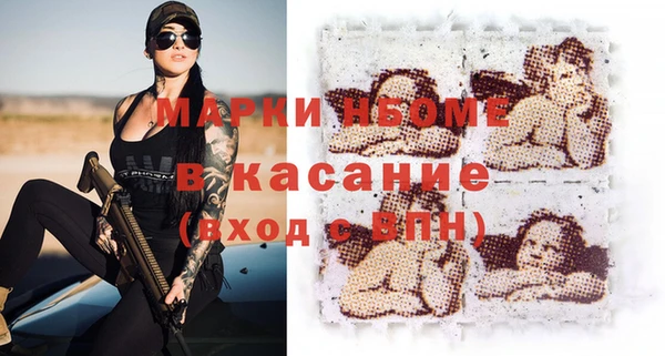 индика Протвино
