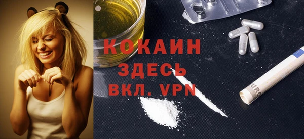 индика Протвино