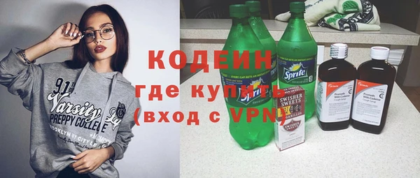 индика Протвино