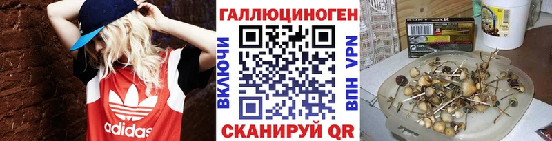 Псилоцибиновые грибы прущие грибы  дарнет шоп  Сокол 