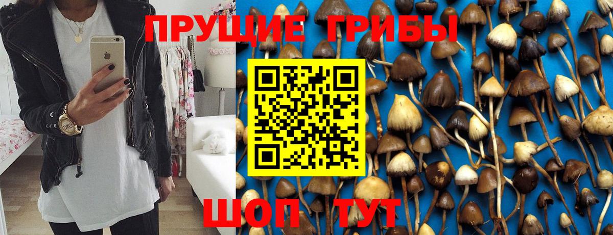 Галлюциногенные грибы мицелий  Галлюциногенные грибы ЛСД  как найти наркотики  Сокол  Вход с VPN 